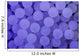 Lilac Spheres Wall Mural