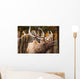 Elk In The Forest Wall Mural