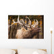 Elk In The Forest Wall Mural
