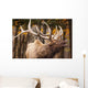 Elk In The Forest Wall Mural