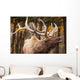 Elk In The Forest Wall Mural
