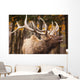 Elk In The Forest Wall Mural
