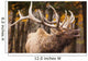 Elk In The Forest Wall Mural