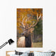 Large Elk In Jasper National Park Alberta Canada Wall Mural
