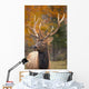 Large Elk In Jasper National Park Alberta Canada Wall Mural