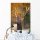 Large Elk In Jasper National Park Alberta Canada Wall Mural