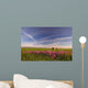 Rural Landscape, Alberta, Canada Wall Mural