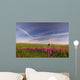 Rural Landscape, Alberta, Canada Wall Mural
