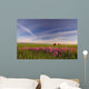 Rural Landscape, Alberta, Canada Wall Mural