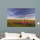 Rural Landscape, Alberta, Canada Wall Mural
