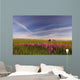 Rural Landscape, Alberta, Canada Wall Mural