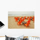 Winter Beach Cafe Wall Decal