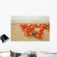 Winter Beach Cafe Wall Decal