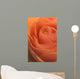 Close Up Of A Rose Bud Wall Mural
