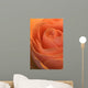 Close Up Of A Rose Bud Wall Mural