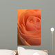 Close Up Of A Rose Bud Wall Mural