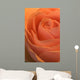 Close Up Of A Rose Bud Wall Mural