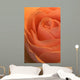 Close Up Of A Rose Bud Wall Mural
