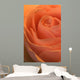Close Up Of A Rose Bud Wall Mural