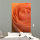 Close Up Of A Rose Bud Wall Mural