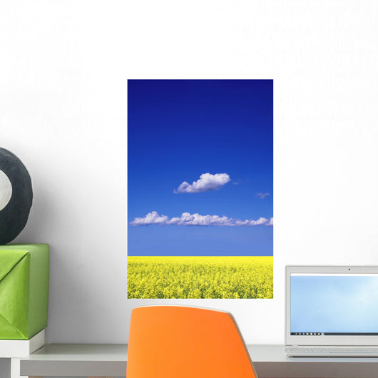 Canola Field Wall Mural
