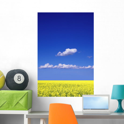Canola Field Wall Mural