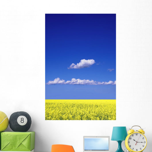 Canola Field Wall Mural