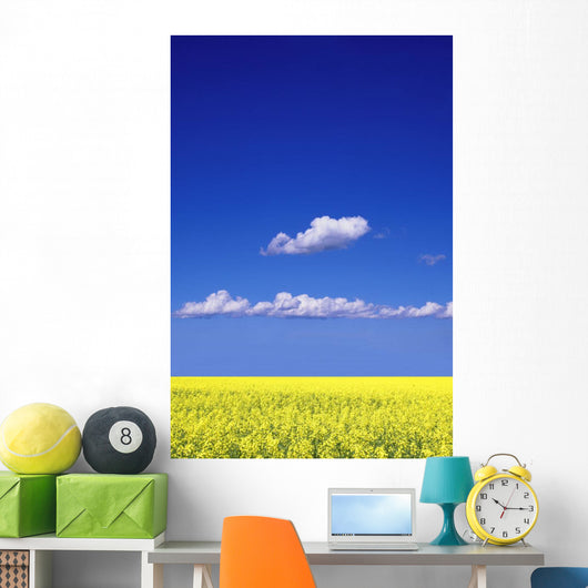 Canola Field Wall Mural