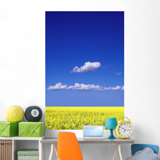 Canola Field Wall Mural