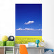Canola Field Wall Mural