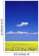 Canola Field Wall Mural