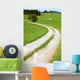 Curved Path Wall Decal