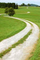 Curved Path Wall Decal