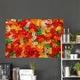 Gummy Bears