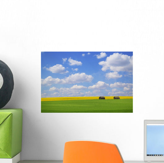 Two Farm Buildings In Vast Meadows Wall Mural