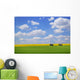 Two Farm Buildings In Vast Meadows Wall Mural