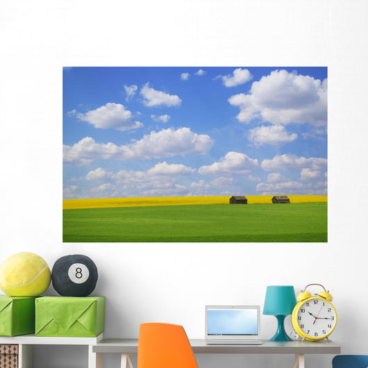 Two Farm Buildings In Vast Meadows Wall Mural