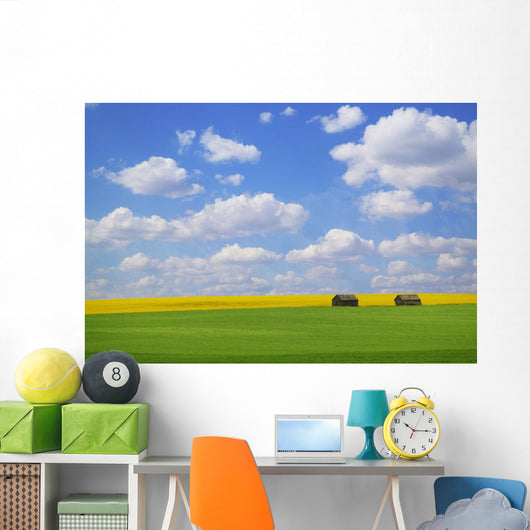 Two Farm Buildings In Vast Meadows Wall Mural