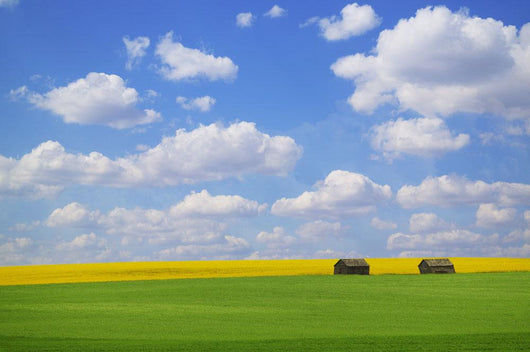 Two Farm Buildings In Vast Meadows Wall Mural