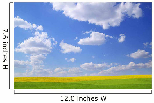 Scenic View Of Meadow And Canola Crop Wall Mural