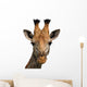Giraffe Isolated Wall Decal