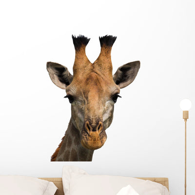 Giraffe Wall Decal shown on a wall