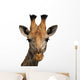 Giraffe Isolated Wall Decal