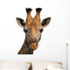 Giraffe Isolated Wall Decal