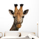 Giraffe Isolated Wall Decal