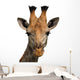 Giraffe Isolated Wall Decal