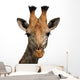 Giraffe Isolated Wall Decal