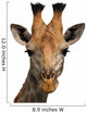 Giraffe Isolated Wall Decal