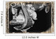 A Black And White Photo Of A Cowboy Boot And Stirrup Wall Mural