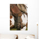 A Close-Up Of A Roper On Horseback Wall Mural